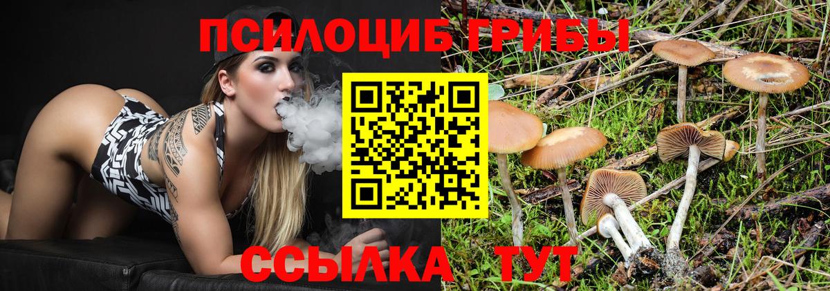 Галлюциногенные грибы Psilocybe Нижний Тагил
